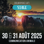 30 et 31 août 2025