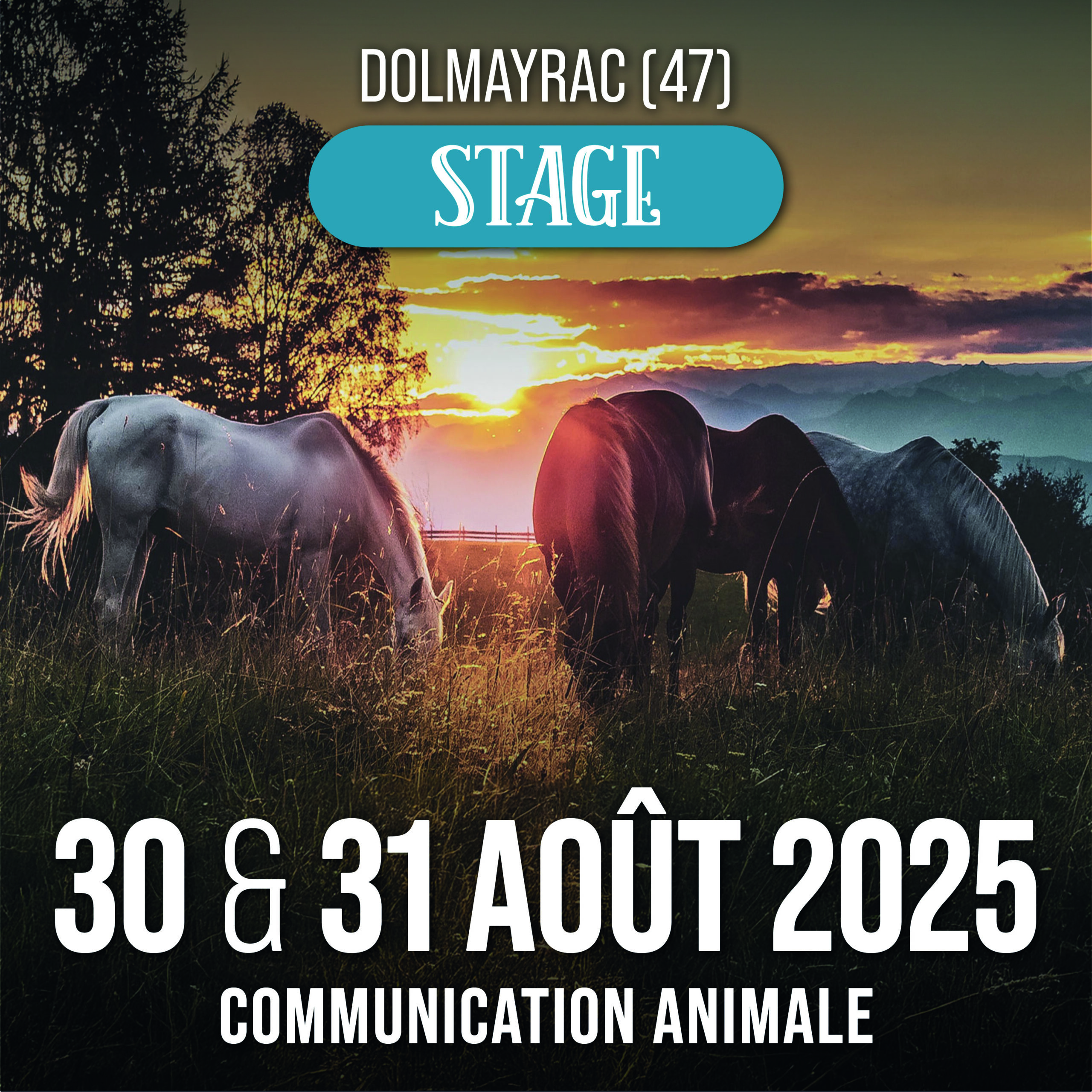 30 et 31 août 2025