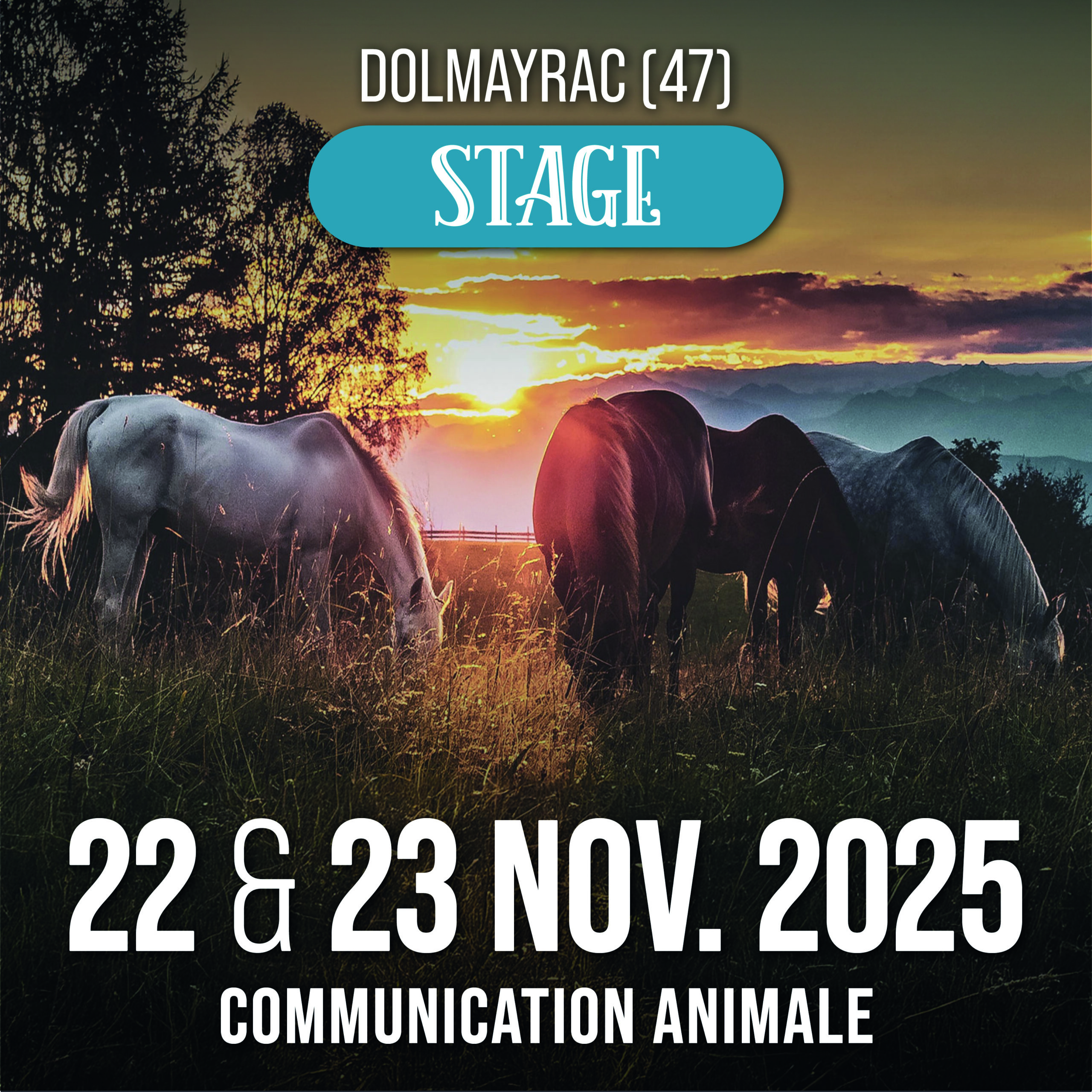 Stage Communication animale : 22 & 23 novembre 2025