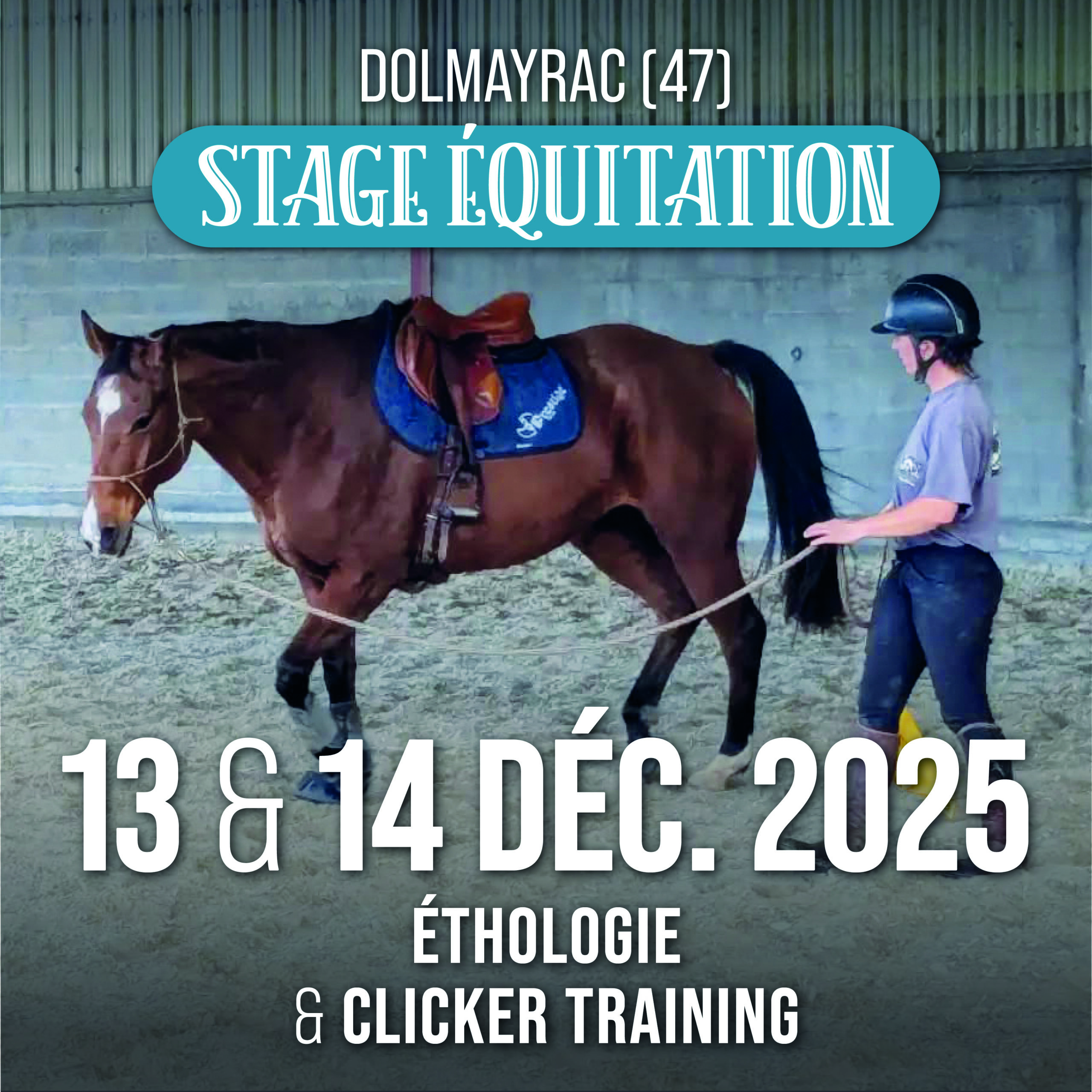 Stage Ethologie & Clicker : 13 & 14 décembre 2025