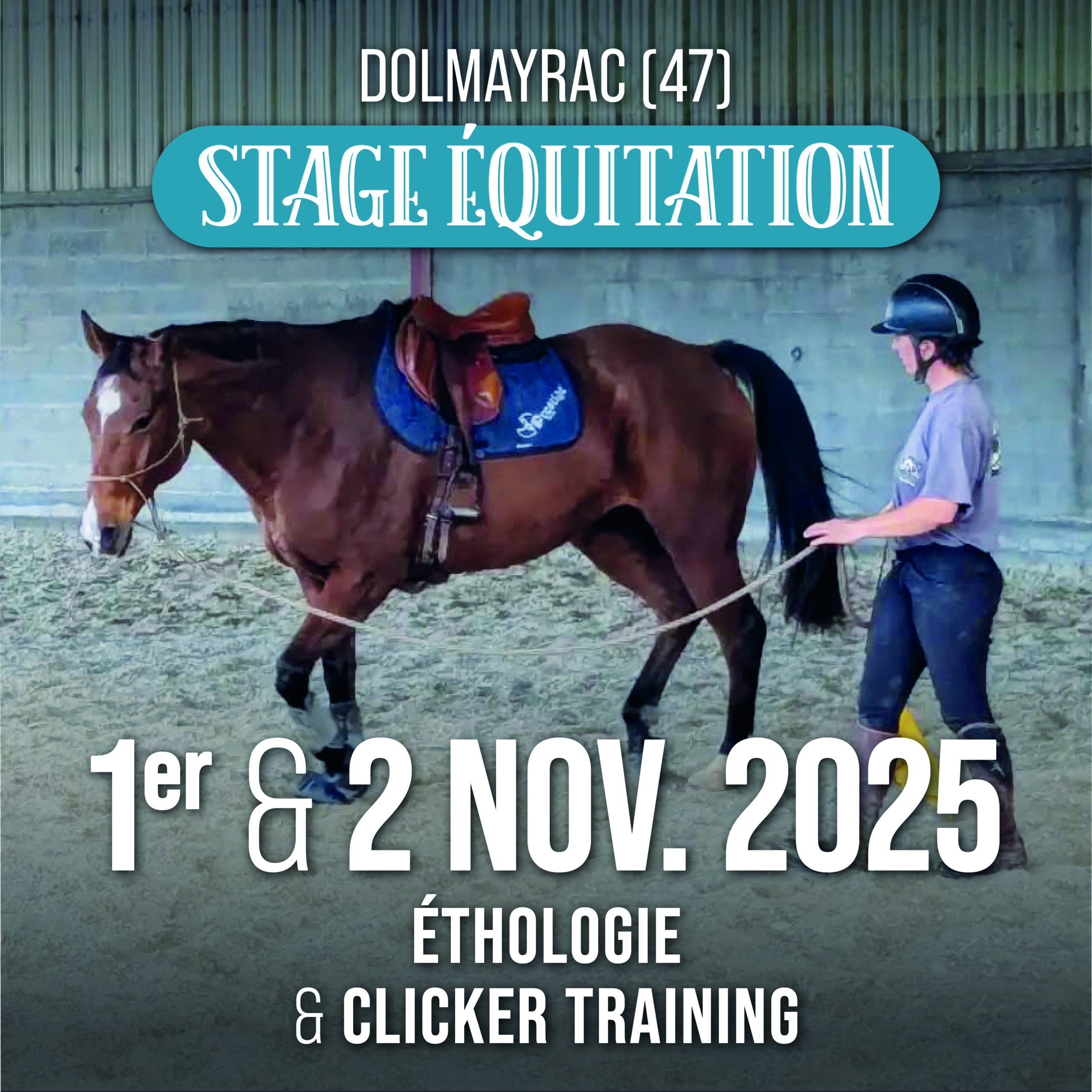 Stage Ethologie & Clicker : 1er & 2 novembre 2025