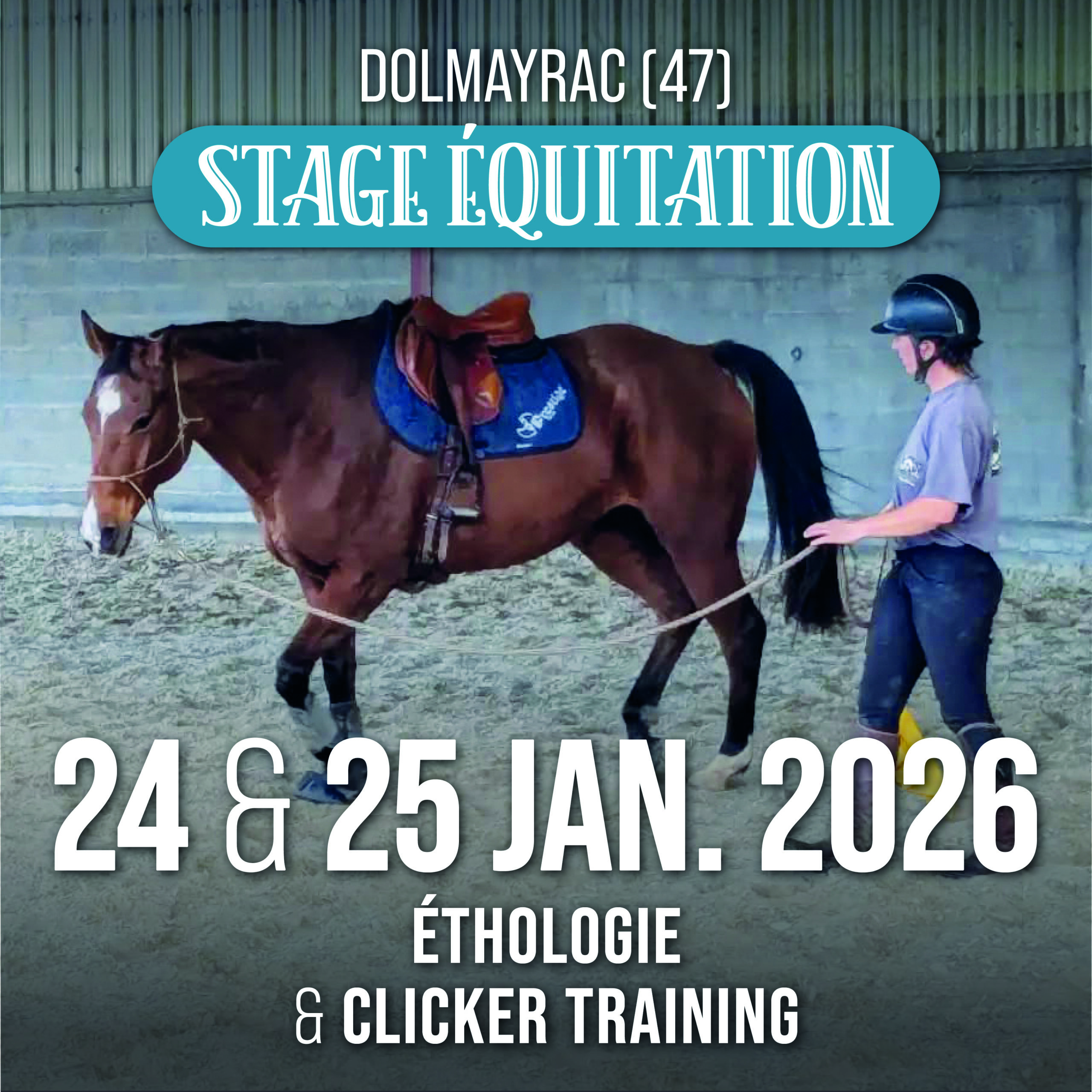 Stage Ethologie & Clicker : 24 & 25 janvier 2026