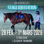 Stage Ethologie & Clicker : 28 février & 1er mars 2026