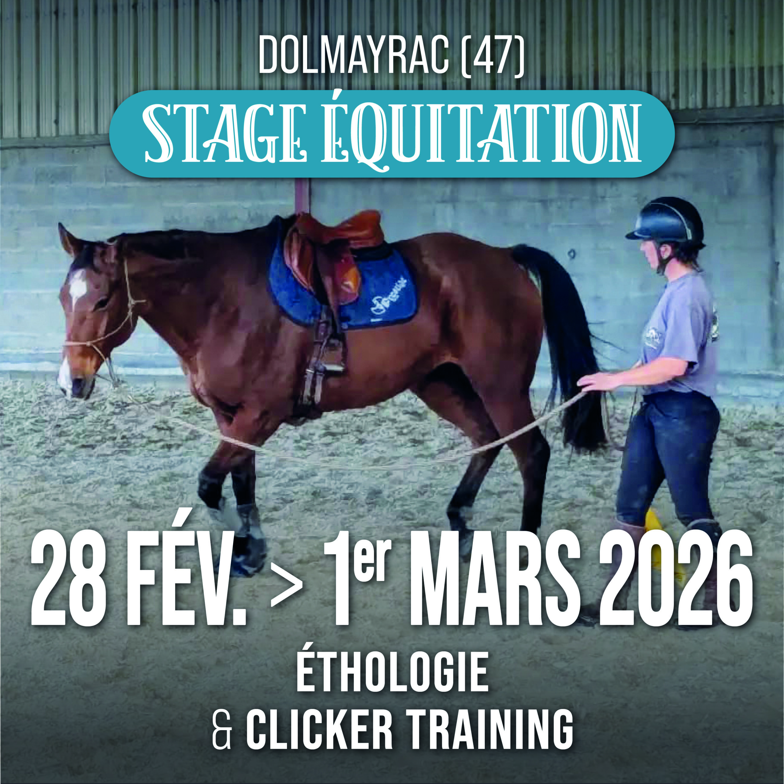 Stage Ethologie & Clicker : 28 février & 1er mars 2026