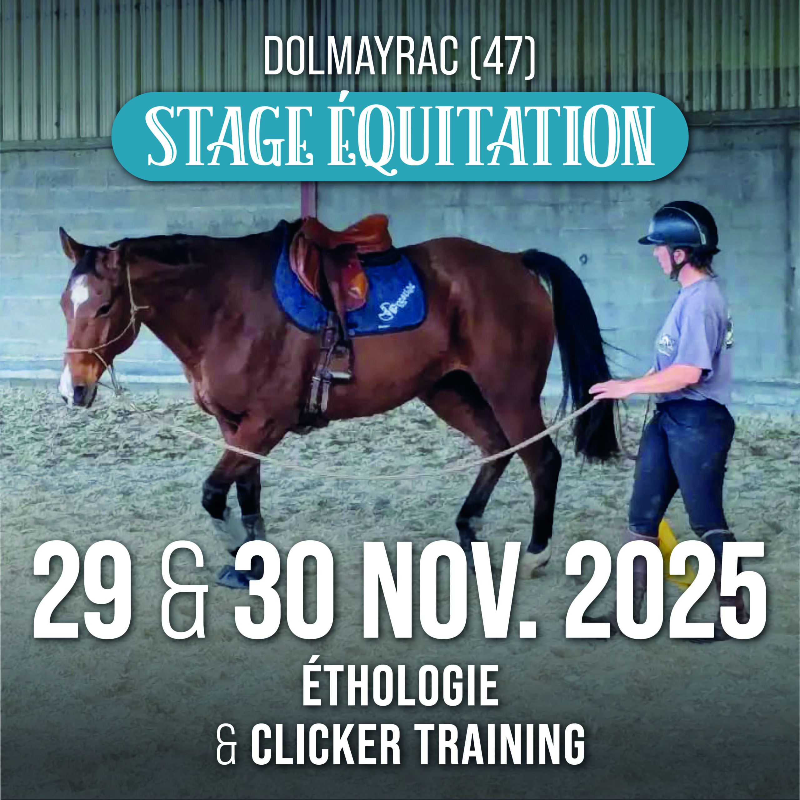 Stage Ethologie & Clicker : 29 & 30 novembre 2025